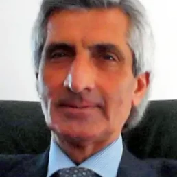 prof. Vincenzo Niola
